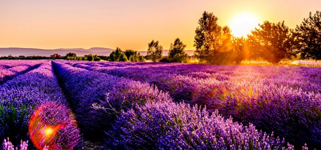 Francia in camper: profumi, sapori e paesaggi unici per un tour unico girare la francia in camper