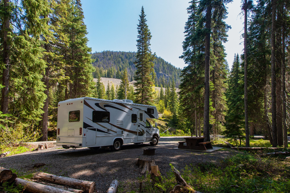 camper semestrale
